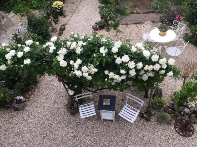 Chez Brown Bed & Breakfast Saint-Thomas-de-Conac Luaran gambar