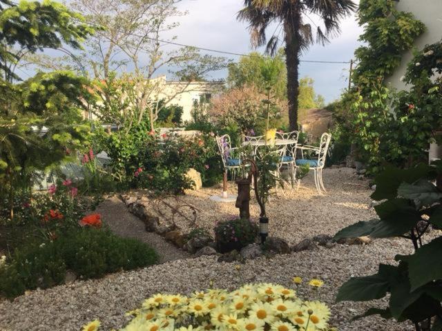 Chez Brown Bed & Breakfast Saint-Thomas-de-Conac Luaran gambar