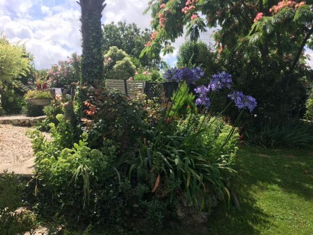 Chez Brown Bed & Breakfast Saint-Thomas-de-Conac Luaran gambar