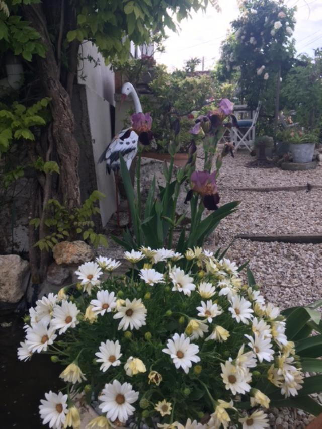 Chez Brown Bed & Breakfast Saint-Thomas-de-Conac Luaran gambar